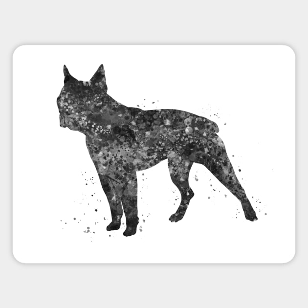 boston terrier dog black and white Magnet by Yahya Art